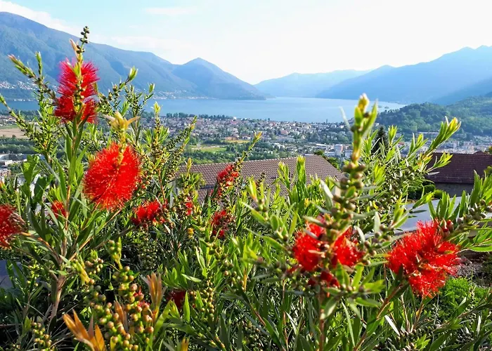 Lejlighed Vista Panorama By Interhome